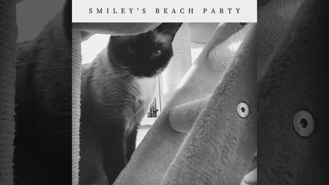 Apple смотреть онлайн