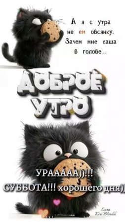 С добрым утром)