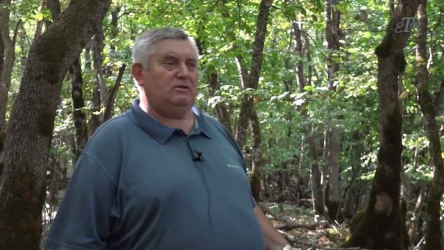 В томузловском лесу с А Ряженцевым смотреть онлайн