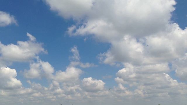 XFC 2013 Nick Maxwell Demo Flight Raptor E700 смотреть онлайн