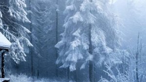 Аудиорассказ - Хочу быть для тебя всем, а не только привычкой - Душевные истории. Трогательные