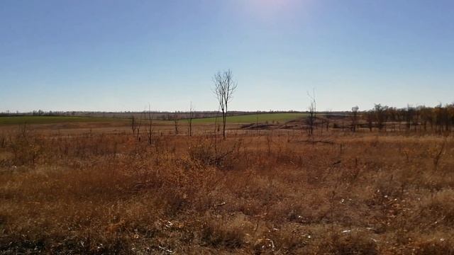 Осмотр посевов пшеницы 14 октября 2018 смотреть онлайн