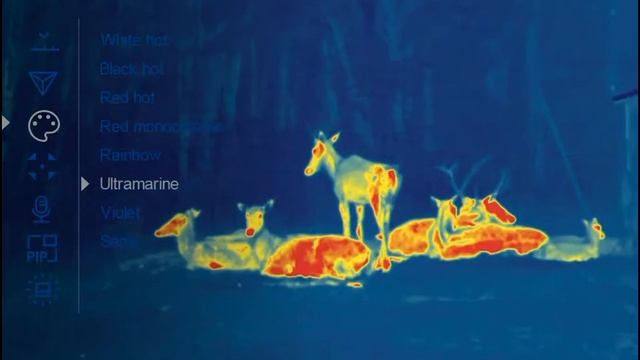 Pulsar AXION XQ38 termisk håndspotter смотреть онлайн