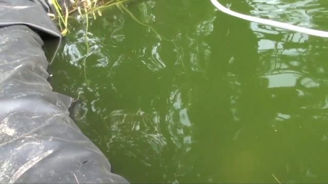 DIY Pond-Part 5-36 watt Revolutionary Filtration System Completion, Adding Beneficial Bacteria