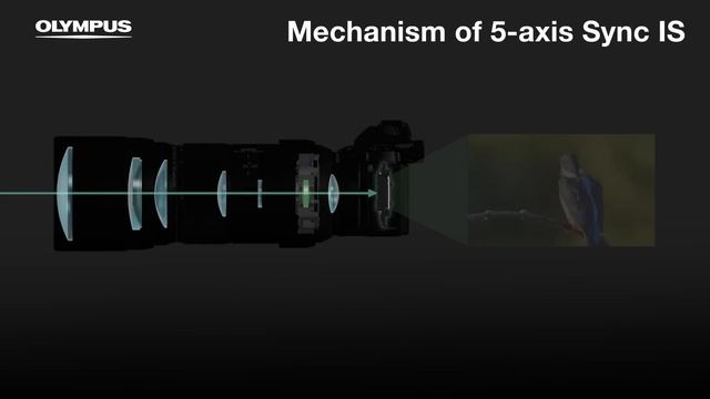 ***NEW*** Olympus ED 300mm F4 IS PRO M.Zuiko lens | Extreme mobility with clarity