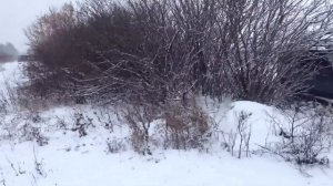 дт 75 на пахота зима