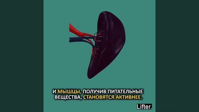 График здоровья по китайской медицине смотреть онлайн