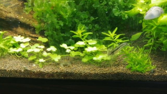 50 литров смотреть онлайн