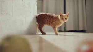 😱АМ НЯМ (0 СЕРИЯ) | НАОБОРОТ KATOLOK