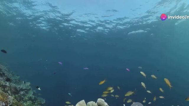 Топ-3 важнейших научных открытий 2024 года