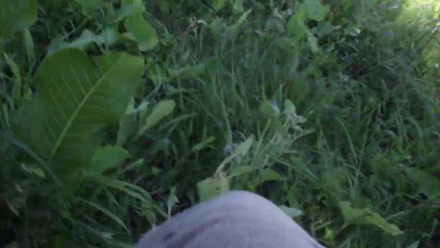 Электропастух AGRI-500