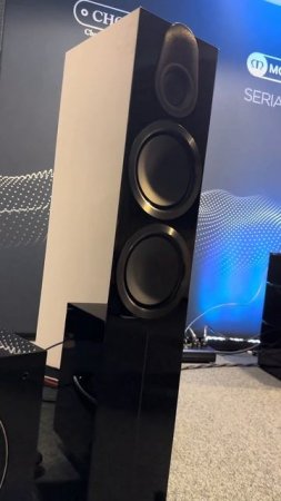 REL_subwoofer_doing_work_and_Monitor_Audio_Gold_500_6G_#audiophile