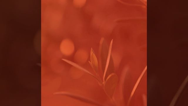 Впечатление (Расслабляющий) смотреть онлайн