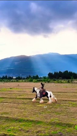 Beautiful girl riding a beautiful horse🐴🐎🐎 #shorts #youtubeshorts #ytshorts