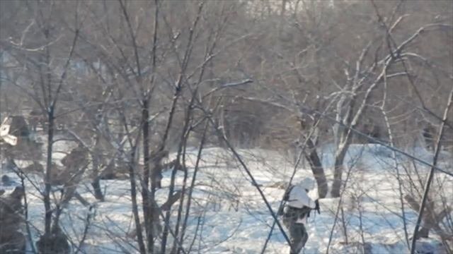 Военно-историческая реконструкция
