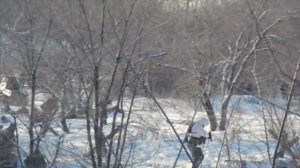 Военно-историческая реконструкция