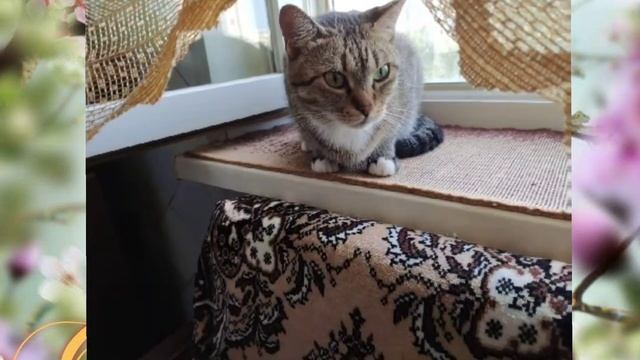 💖😻СОНЯМОМЕНТЫ😻💖от Гугл Фото💖 смотреть онлайн