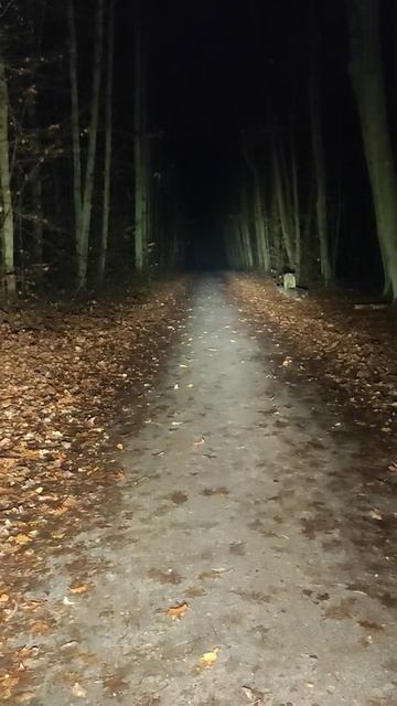 BLF Q8 xp-l HD vs xp-l Hi - beamshots comparison смотреть онлайн