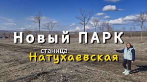 Новый парк. Природа в станице НАТУХАЕВСКАЯ в январе.