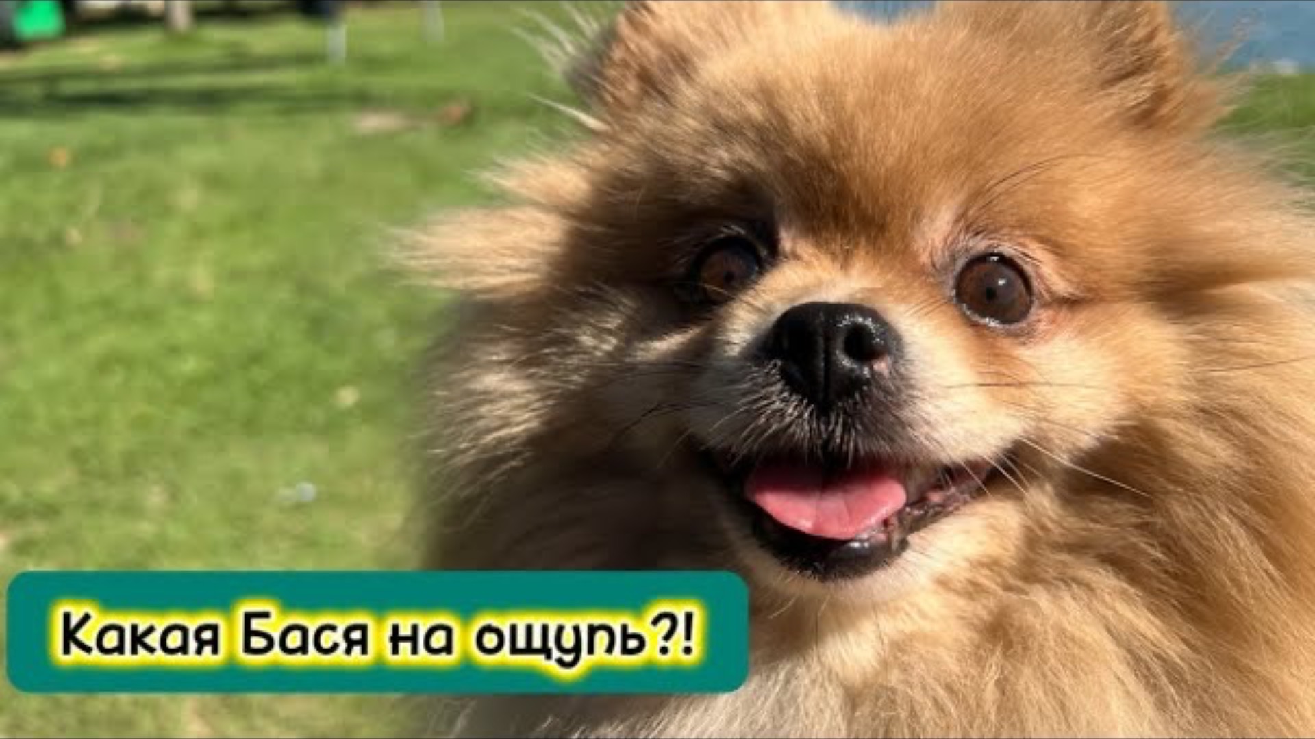 Какая Бася на ощупь?