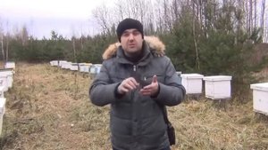 Белорусское Пчеловодство!