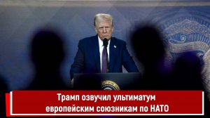 Трамп озвучил ультиматум европейским союзникам по НАТО