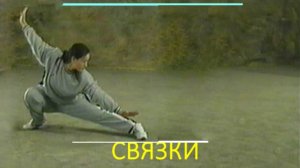 Ушу-таолу  (связки), 武術