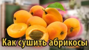 Как сушить абрикосы для компота и по есть