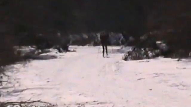 Спорт на Колыме. Сусуманские лыжники - 1997. Магаданская область. Бультерьер