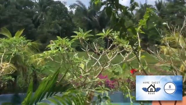 2017 09 Indonesia - Bali - Ubud - Dwaraka The Royal Villas