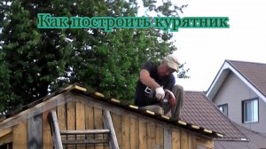 Как построить летний курятник. Строительство простого курятника. Самодельная краска -шведский состав