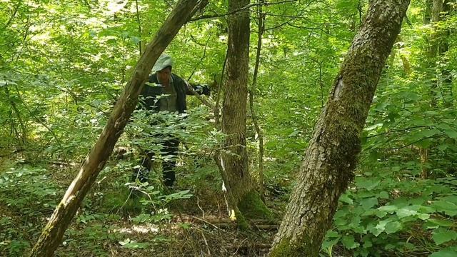 Социальный ролик "Физкультура-это здоровье" смотреть онлайн