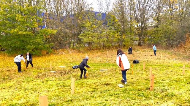 Biggest tree planting project this century - interview with Communities Manager Millie Downes