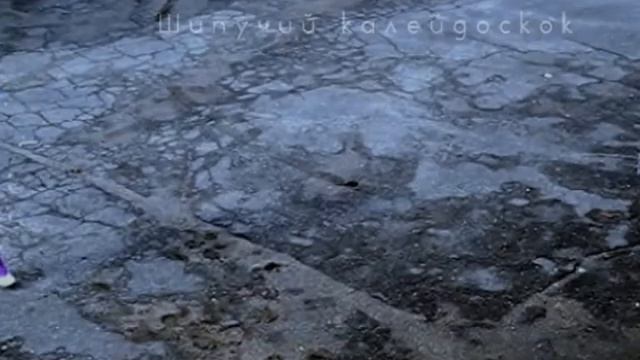 Paltus