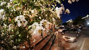 Review - 7Artisans 7.5mm F2.8 Fisheye Fixed Lens