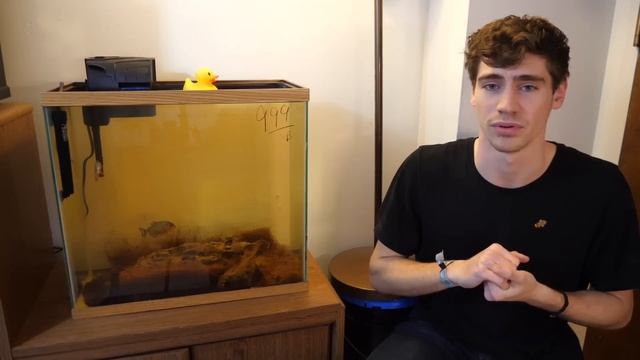 THE TRUTH ABOUT My PIRANHAS... you should know this about them