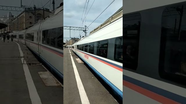 дикий спидран по высодке и посадки людей на эвс2(сапсан) на московском вокзале смотреть онлайн