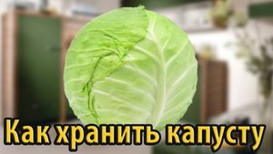 Как хранить капусту, что бы была свежей