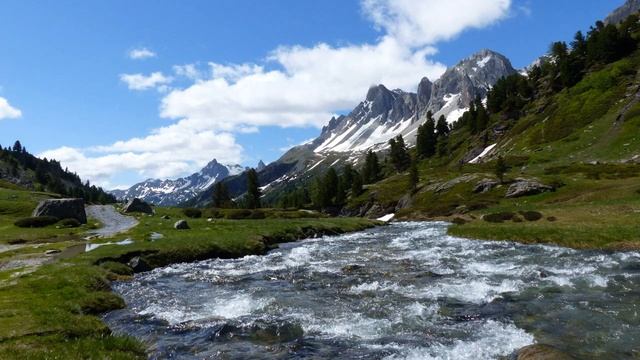 Nevache J80 смотреть онлайн