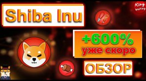 Крипто проект Shiba Inu.  Фундаментальный разбор. Обзор Shiba Inu
