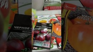 1000013896.mp4томаты сердца, много сортов есть, и какие же вкусные)))