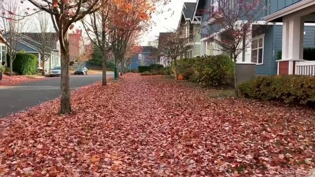 Beauty of fall season in Gig Harbor WA смотреть онлайн