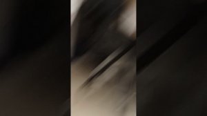 VID_20250124_173910.mp4