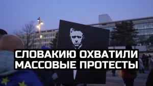 Словакию охватили массовые протесты