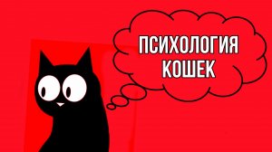 Психология кошек