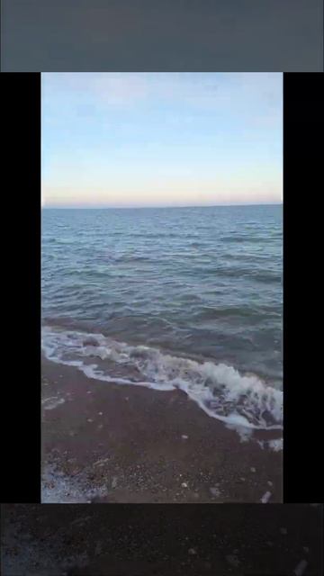 готовлю шашлык на море зимой #shorts #мариуполь #море #шашлык