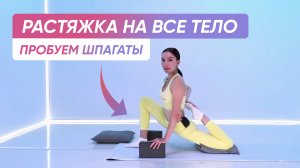 Упражнения для ГИБКОСТИ | Растяжка всего тела 🧘♀️