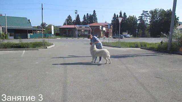 Подготовка Анджея к выставке занятие 3 смотреть онлайн