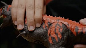 Mattel Jurassic world real feel Carnotaurus Jurassic World reimagined