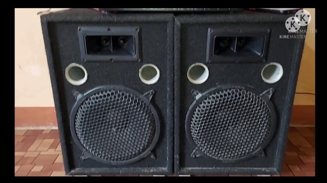 universal amplifier modification 3055 to 2SC5200 transistor | 10 inch woffer testing #universal смотреть онлайн